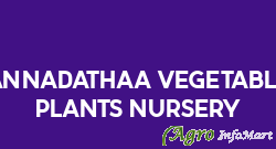 Annadathaa Vegetable Plants Nursery rajahmundry india