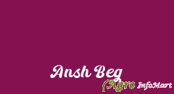 Ansh Beg