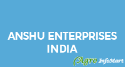 Anshu Enterprises India