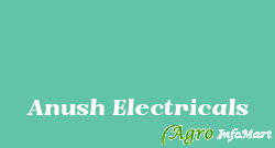 Anush Electricals pune india
