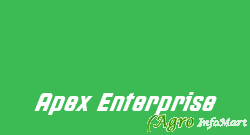 Apex Enterprise