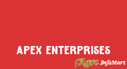 Apex Enterprises jaipur india