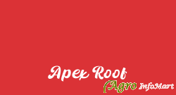 Apex Roof