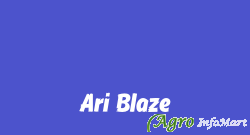 Ari Blaze delhi india