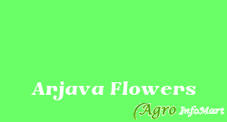 Arjava Flowers