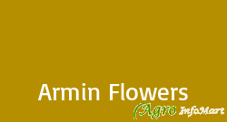 Armin Flowers