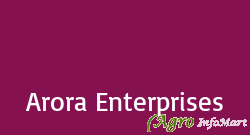 Arora Enterprises delhi india