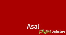 Asal ahmedabad india