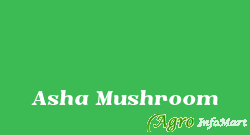 Asha Mushroom