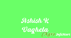 Ashish K Vaghela