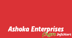 Ashoka Enterprises karnal india