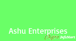 Ashu Enterprises delhi india