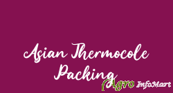 Asian Thermocole Packing