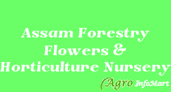 Assam Forestry Flowers & Horticulture Nursery