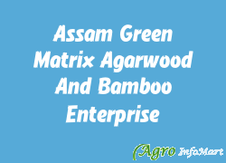 Assam Green Matrix Agarwood And Bamboo Enterprise nagaon india