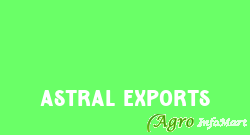 Astral Exports pune india