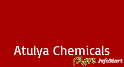 Atulya Chemicals mumbai india