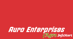 Auro Enterprises pune india