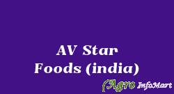 AV Star Foods (india) delhi india