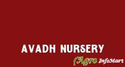 Avadh Nursery lucknow india