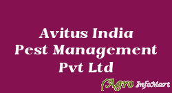 Avitus India Pest Management Pvt Ltd ahmedabad india