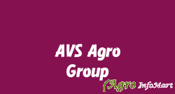AVS Agro Group hassan india