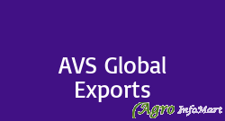 AVS Global Exports chennai india
