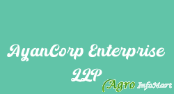 AyanCorp Enterprise LLP chennai india