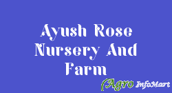 Ayush Rose Nursery And Farm