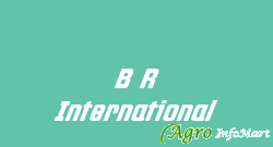 B R International