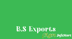 B.S Exports