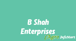 B Shah Enterprises