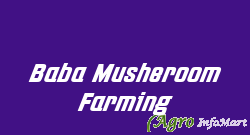 Baba Musheroom Farming