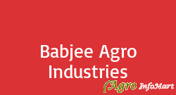 Babjee Agro Industries baramati india