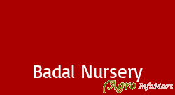 Badal Nursery