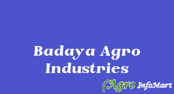 Badaya Agro Industries jaipur india