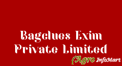 Bagclues Exim Private Limited