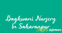 Baghwani Nursery In Saharanpur saharanpur india