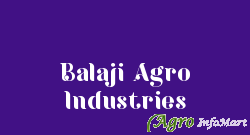 Balaji Agro Industries fatehabad india