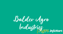 Baldev Agro Industries ludhiana india