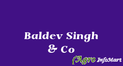 Baldev Singh & Co