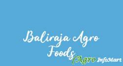 Baliraja Agro Foods nagpur india