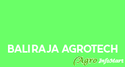 Baliraja Agrotech