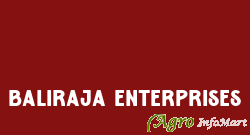 Baliraja Enterprises nashik india
