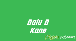 Balu B Kane