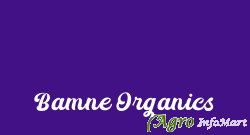 Bamne Organics thane india