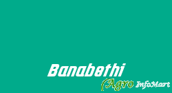 Banabethi