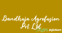 Bandhuja Agrofusion Pvt. Ltd lucknow india
