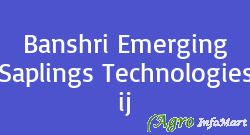 Banshri Emerging Saplings Technologies ij lucknow india