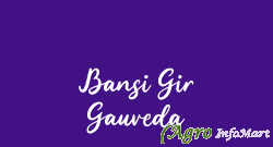 Bansi Gir Gauveda ahmedabad india